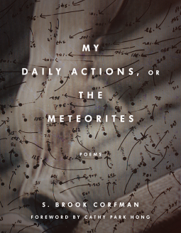 My Daily Actions, or The Meteorites